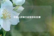 中国人民银行征信中心在哪