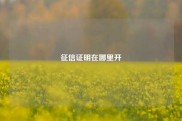 征信证明在哪里开