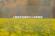 上蔡县失信被执行人名单查询