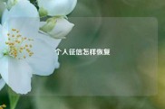 个人征信怎样恢复