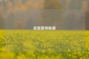 征信宣传标语