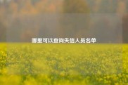 哪里可以查询失信人员名单