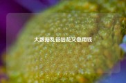 大数据乱征信花又急用钱