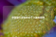 中国银行征信中心个人查询官网