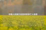 中国人民银行征信未收录个人信息