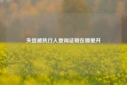 失信被执行人查询证明在哪里开