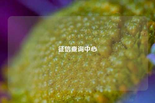 征信查询中心